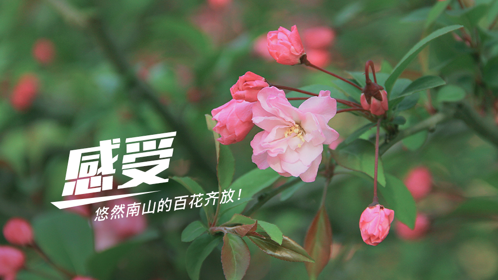 微信图片_201902200952501.jpg